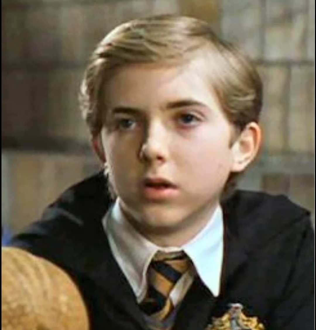 Harry Potter