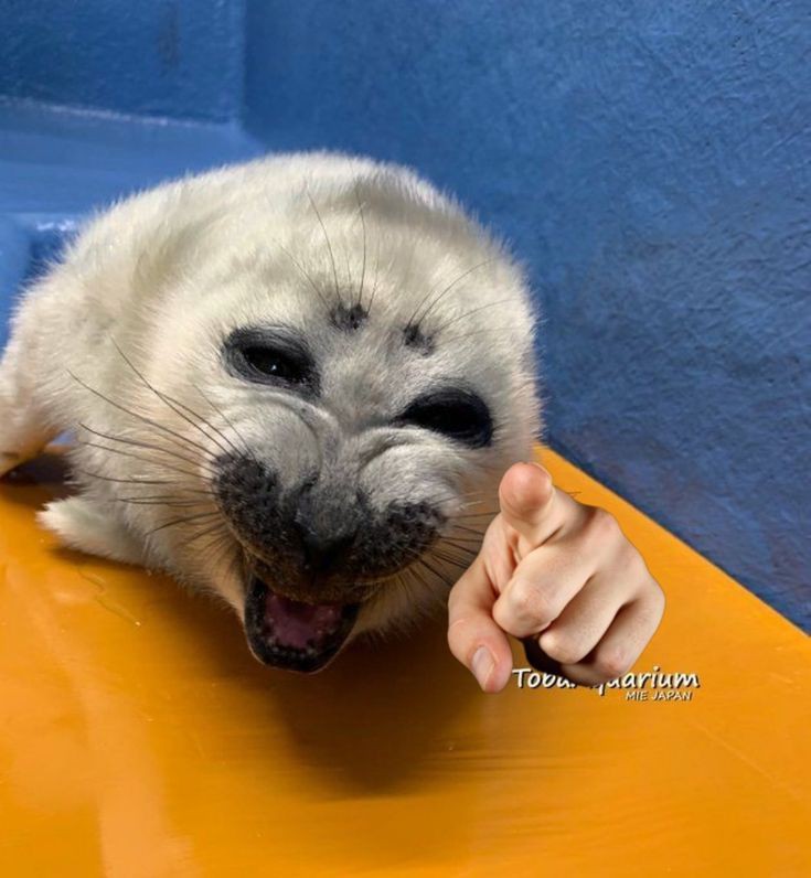 เกม!!