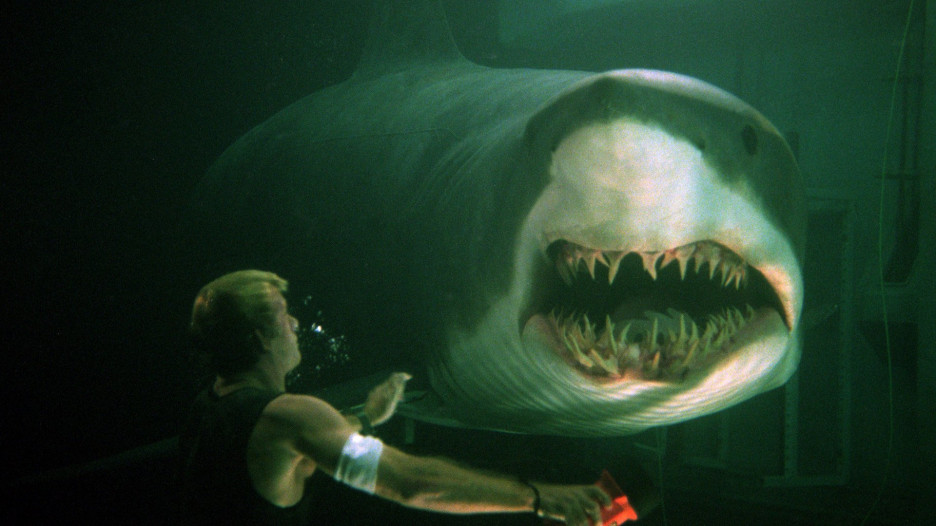 Films avec des requins