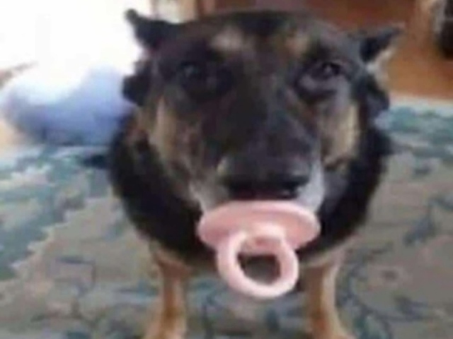 playlist jaomareloo