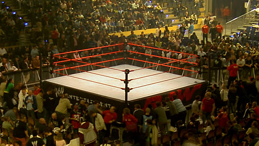 Best Wrestling Belt Design