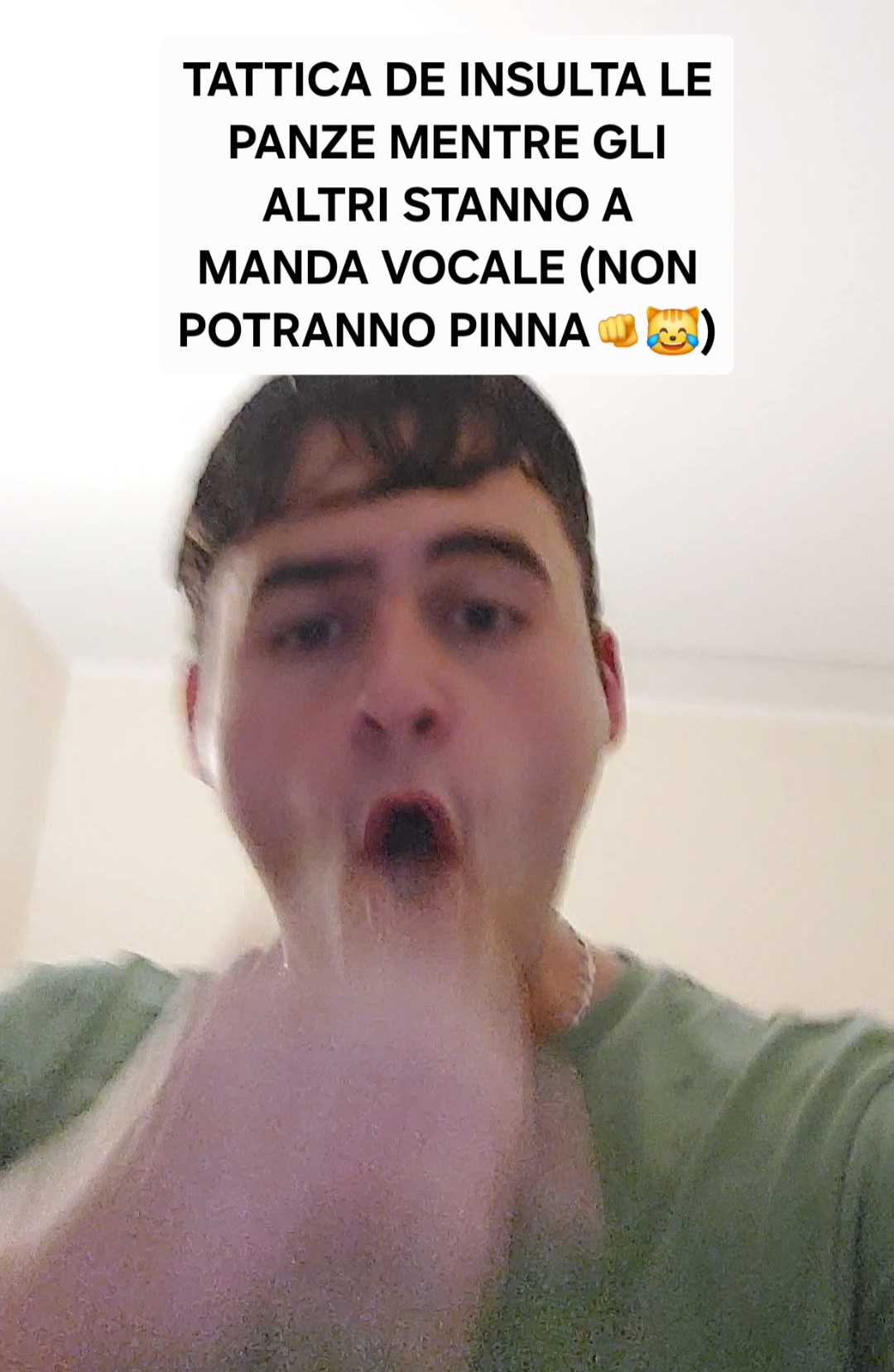 Panzoni