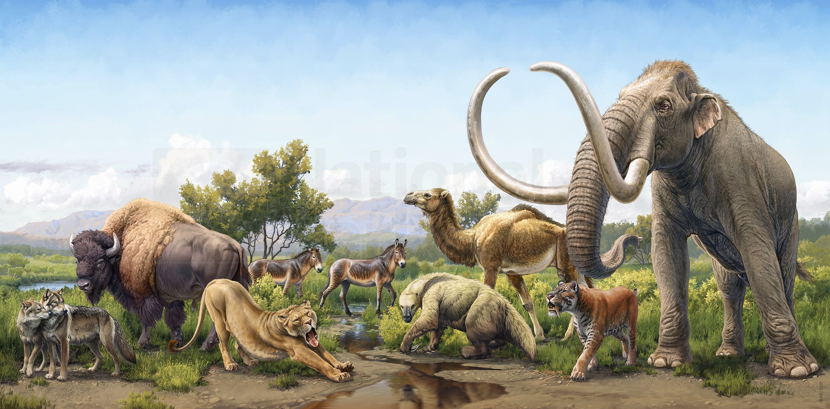 Animal 1v1s: Megafauna PART 2