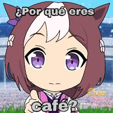 Uma musume conciertos